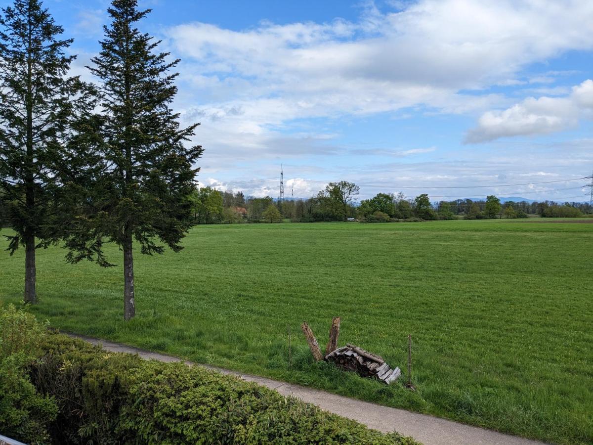 Badischer Neubau-Ruhe-Kunst-Natur Rheinau Eksteriør billede