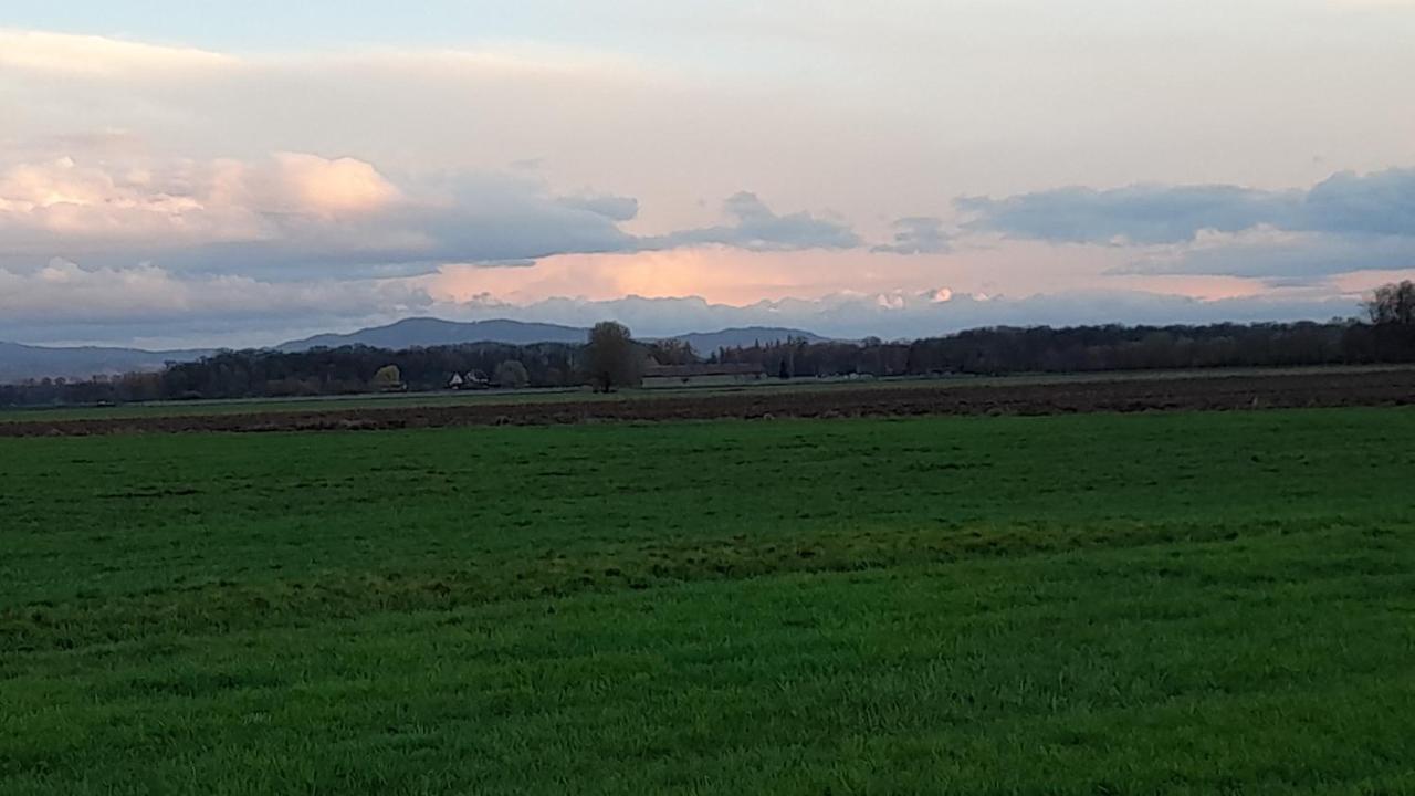 Badischer Neubau-Ruhe-Kunst-Natur Rheinau Eksteriør billede