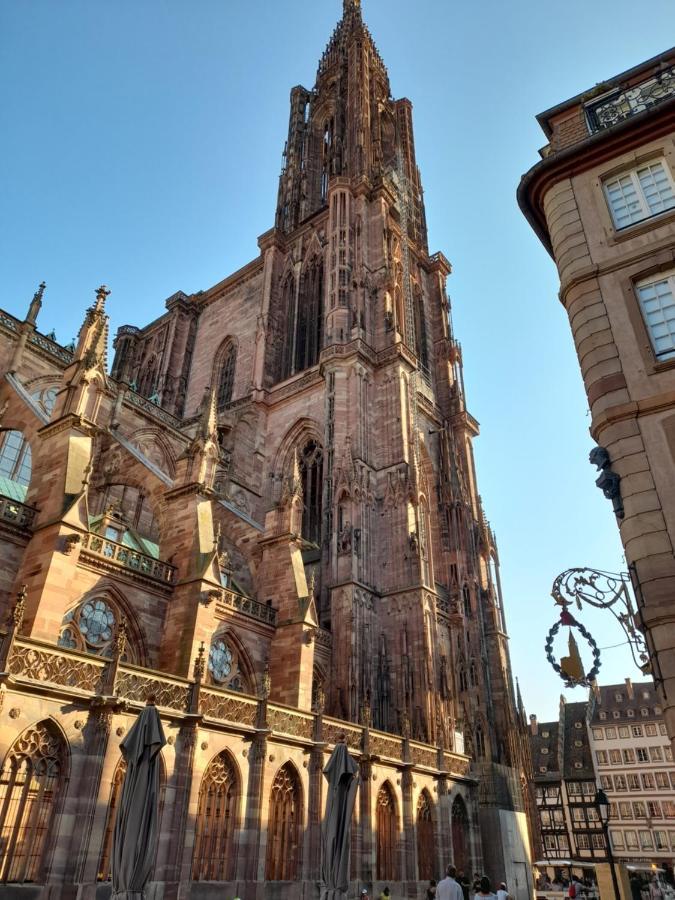 Badischer Neubau-Ruhe-Kunst-Natur Rheinau Eksteriør billede