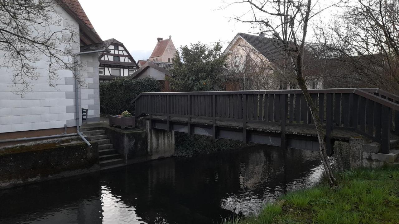 Badischer Neubau-Ruhe-Kunst-Natur Rheinau Eksteriør billede