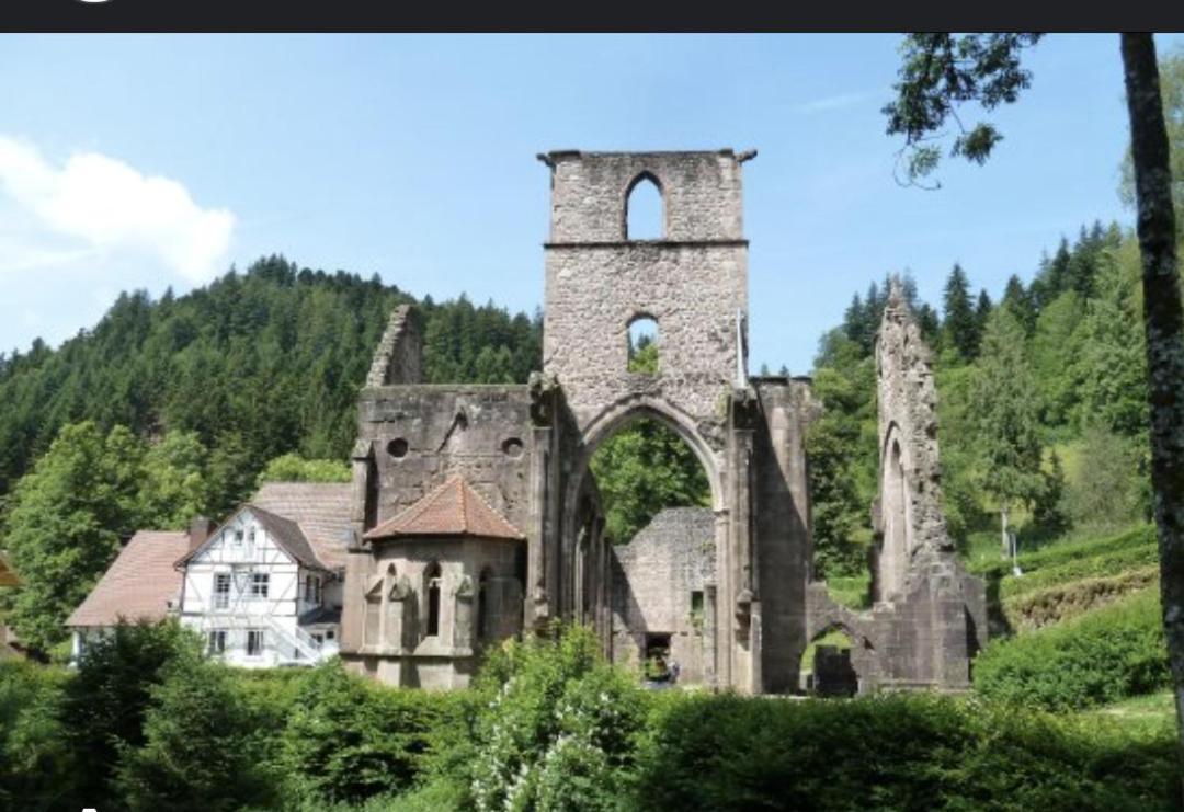 Badischer Neubau-Ruhe-Kunst-Natur Rheinau Eksteriør billede
