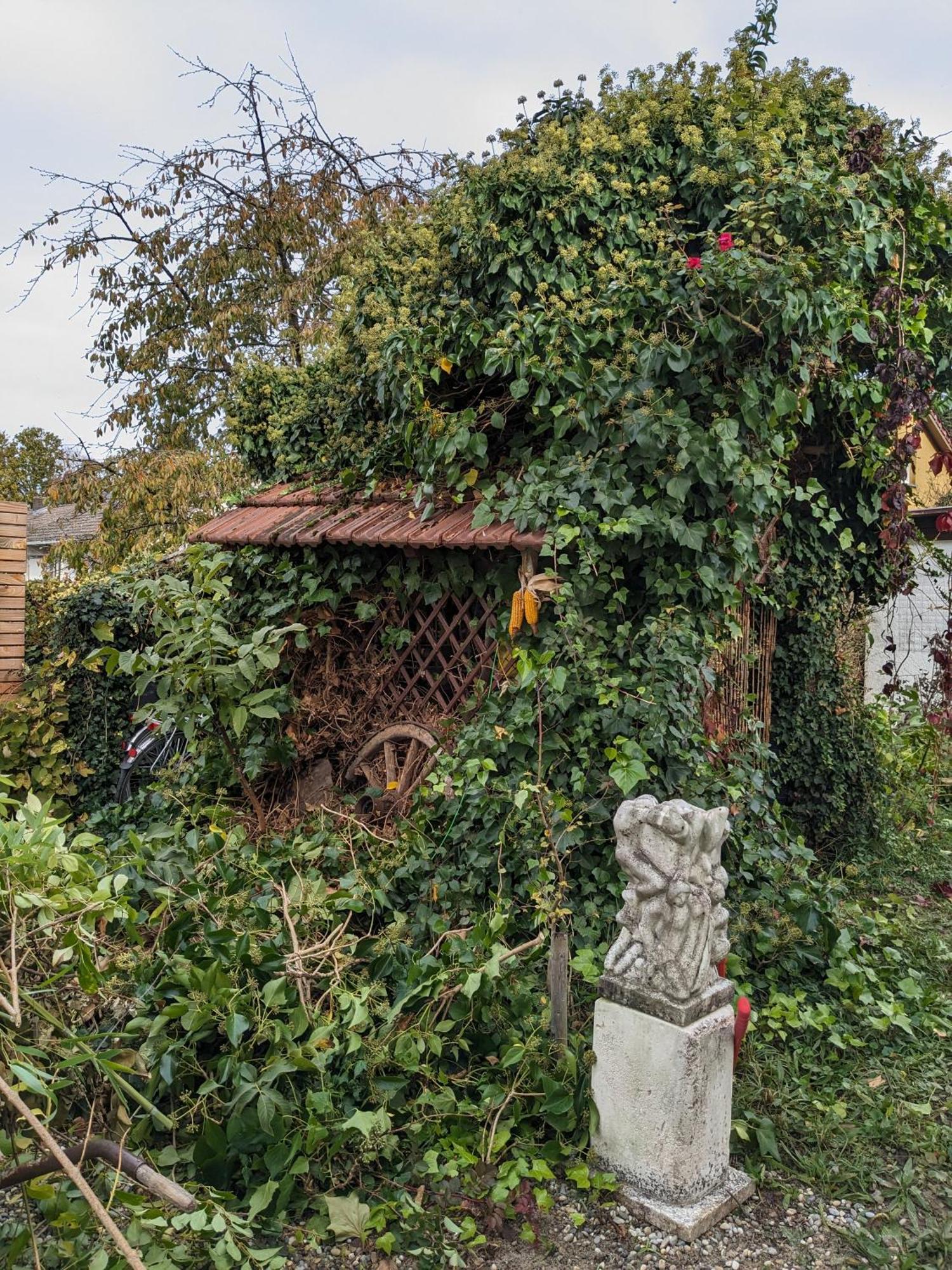 Badischer Neubau-Ruhe-Kunst-Natur Rheinau Eksteriør billede