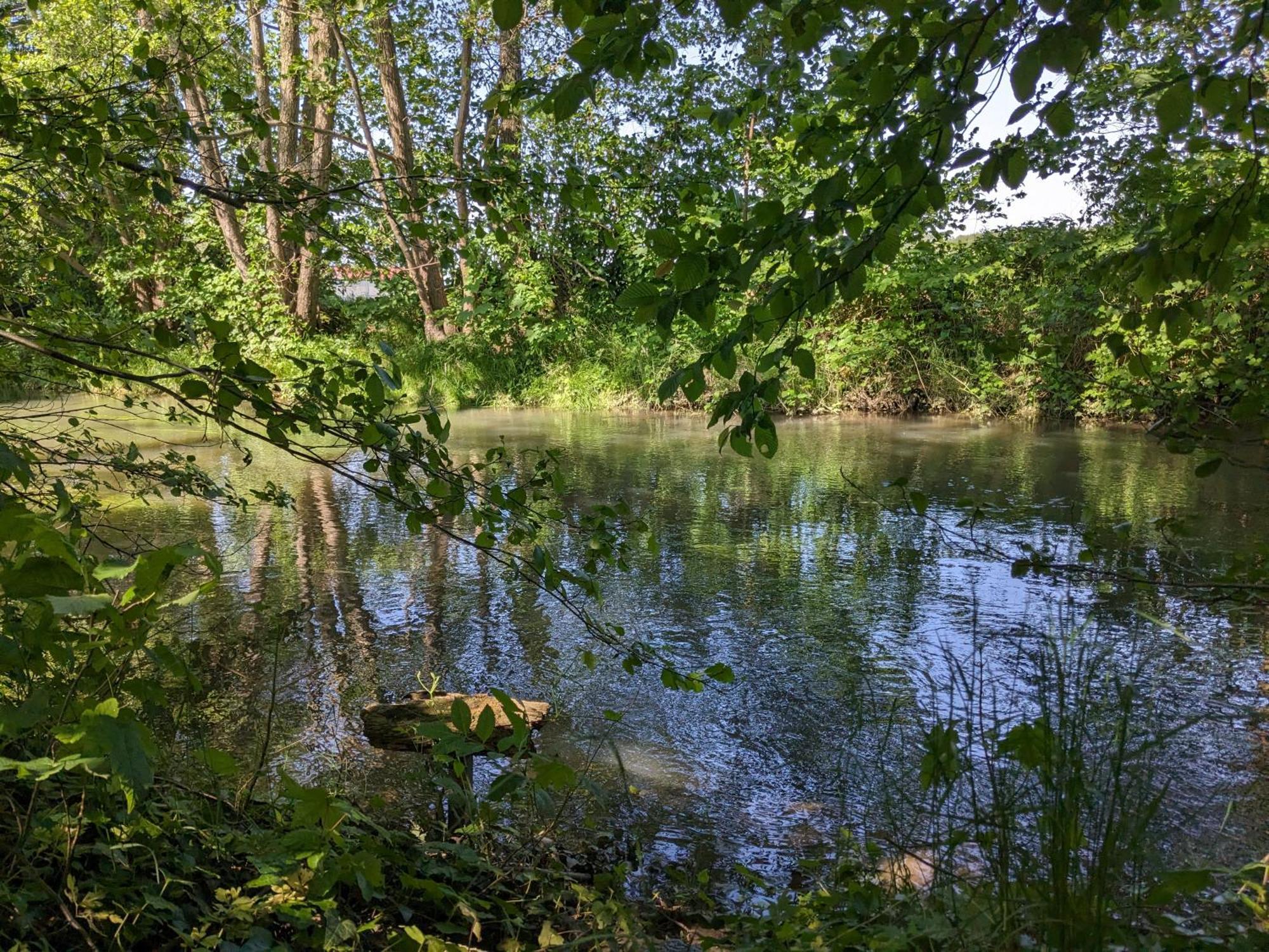 Badischer Neubau-Ruhe-Kunst-Natur Rheinau Eksteriør billede