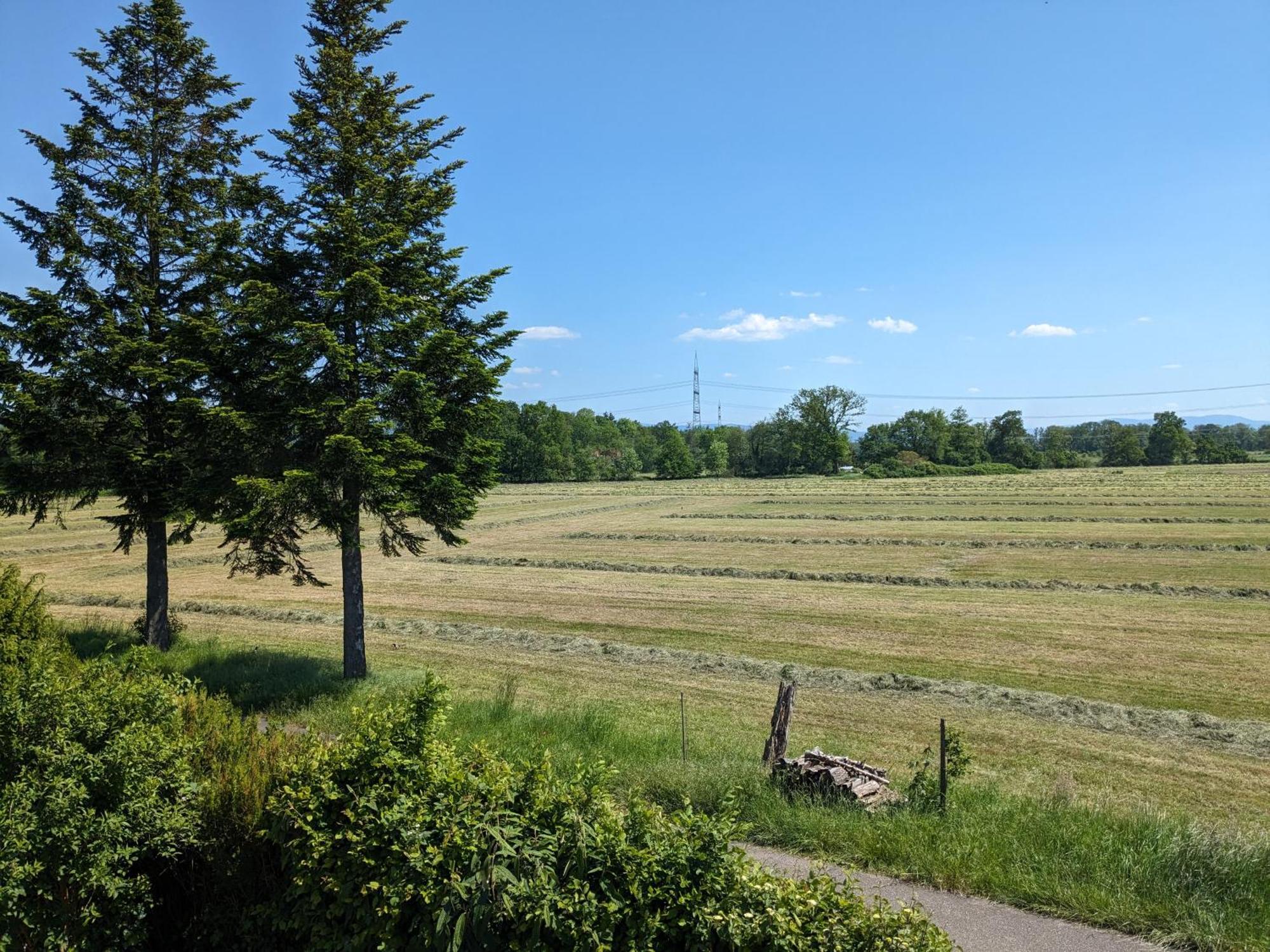 Badischer Neubau-Ruhe-Kunst-Natur Rheinau Eksteriør billede