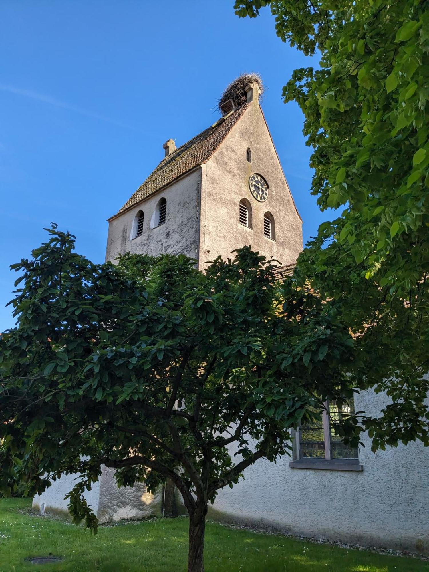 Badischer Neubau-Ruhe-Kunst-Natur Rheinau Eksteriør billede
