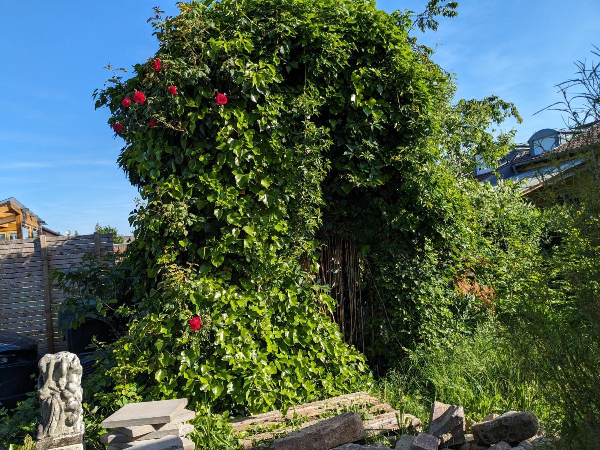 Badischer Neubau-Ruhe-Kunst-Natur Rheinau Eksteriør billede