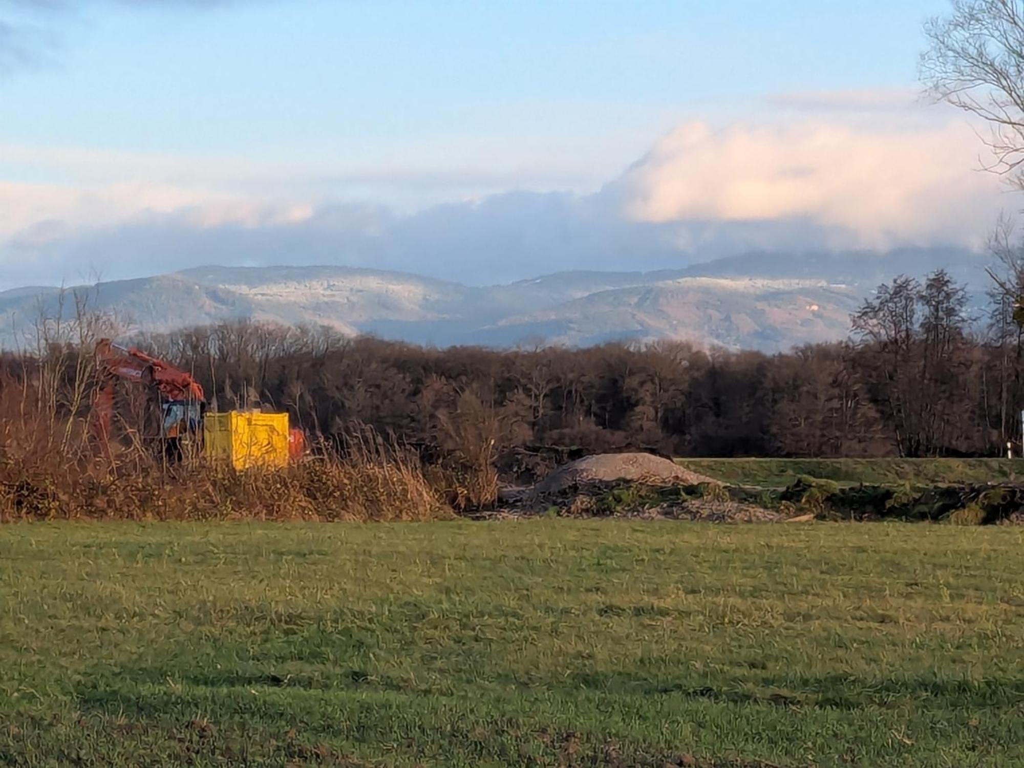 Badischer Neubau-Ruhe-Kunst-Natur Rheinau Eksteriør billede