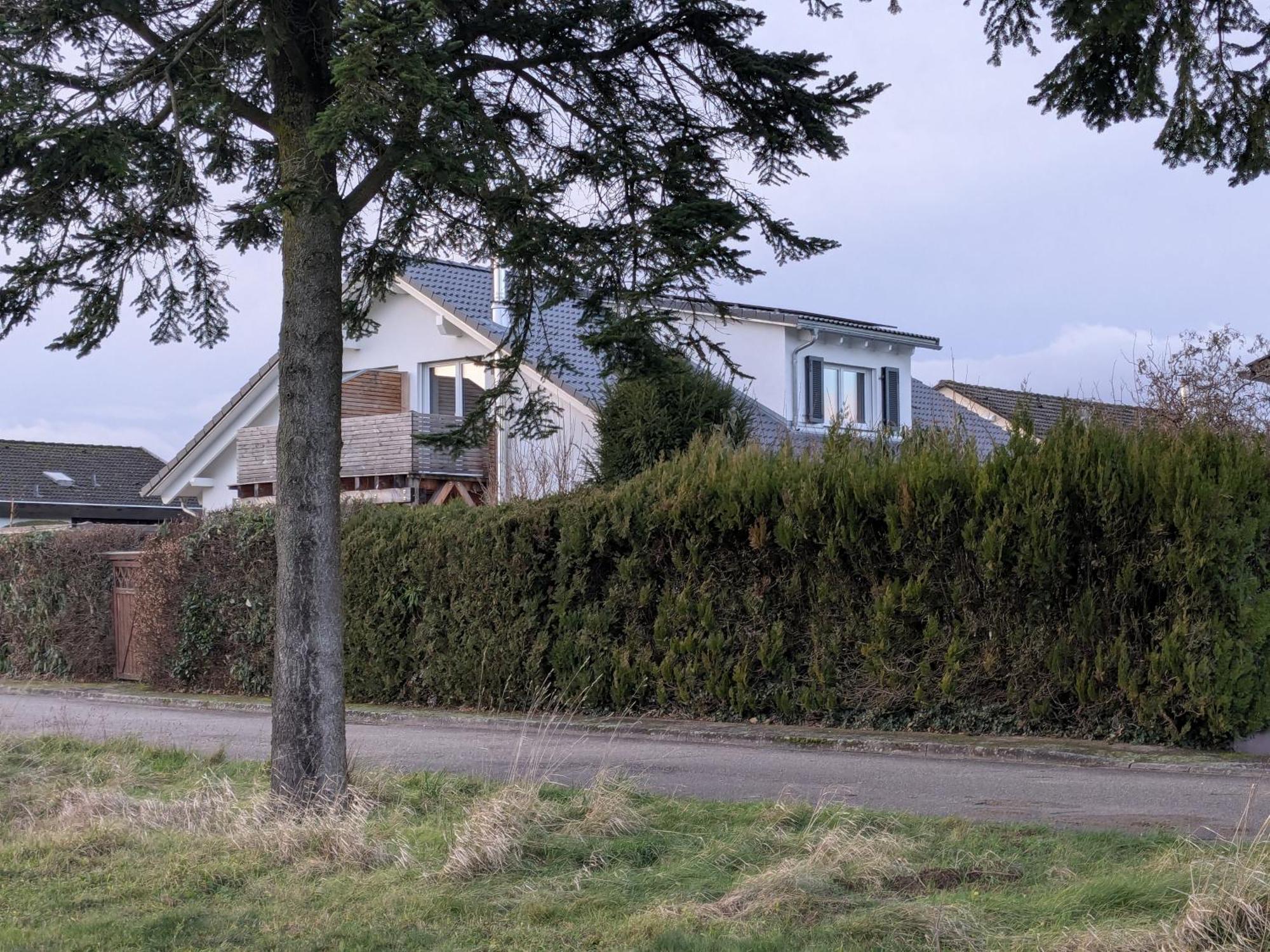 Badischer Neubau-Ruhe-Kunst-Natur Rheinau Eksteriør billede